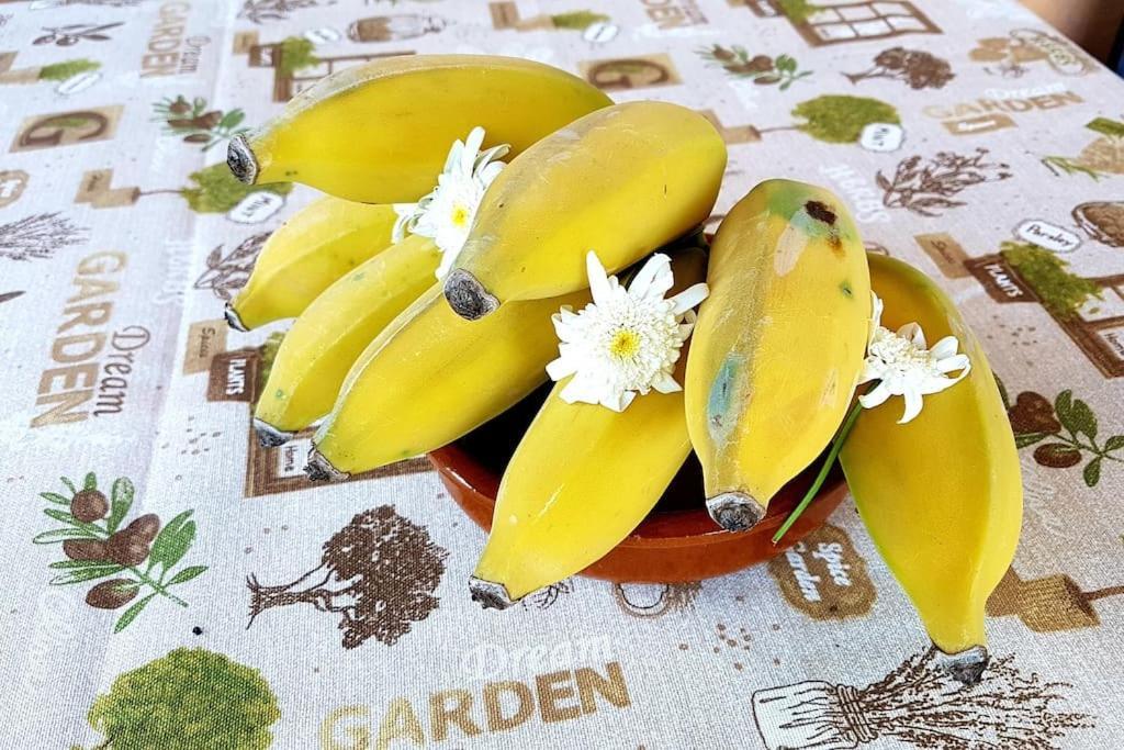 הוילה ארקו דה קלחטה Torre Bella Gardens מראה חיצוני תמונה